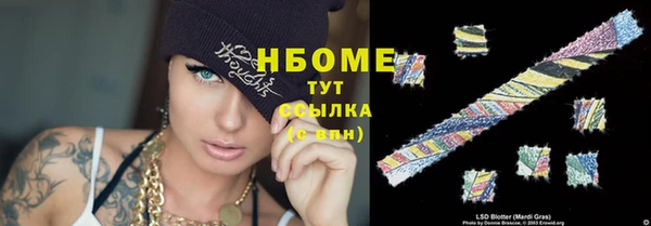 индика Алзамай