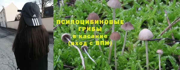 индика Алзамай