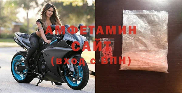 индика Алзамай