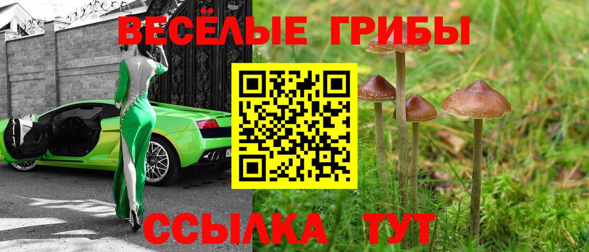 Чебаркуль  Псилоцибиновые грибы прущие грибы  продажа наркотиков  Вход с VPN  Псилоцибиновые грибы Psilocybe 